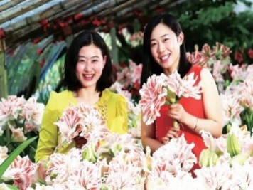 江蘇連云港崗埠農(nóng)場(chǎng) 小康路上花正艷