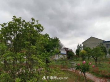 十三五以來，許昌市累計(jì)完成林業(yè)生態(tài)建設(shè)面積120余萬畝