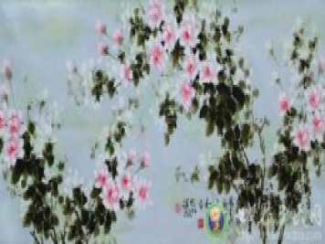 王躍進與月季花