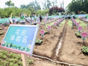 漯河城管園林科研所，邀請400余位市民花田體驗栽花