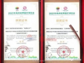 河北定州月季在揚(yáng)州世園會(huì)斬獲大獎(jiǎng)，一金一銀兩銅！