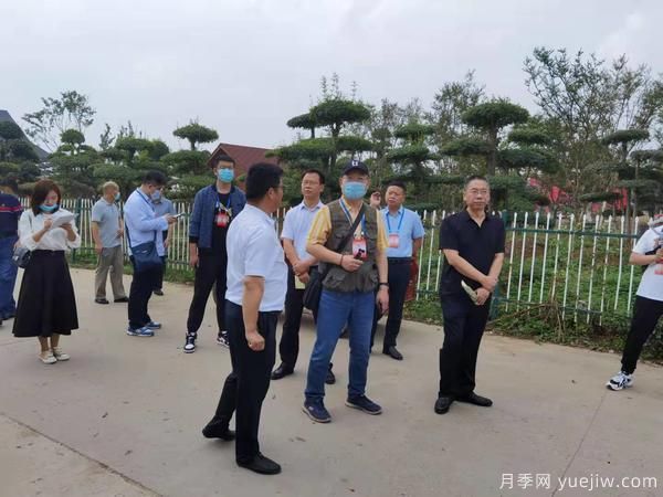 暢游中國花木之鄉(xiāng)，兩岸媒體人見證鄢陵縣鄉(xiāng)村振興之路(圖1)