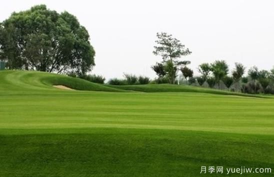 草坪何時(shí)需要澆水？(圖1)