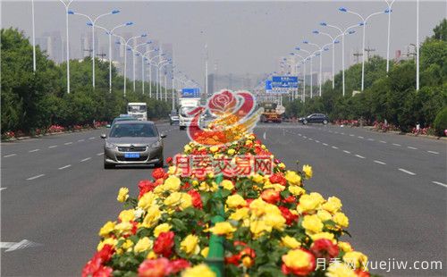 城市內(nèi)建設(shè)“月季大道”竟這么流行！(圖1)