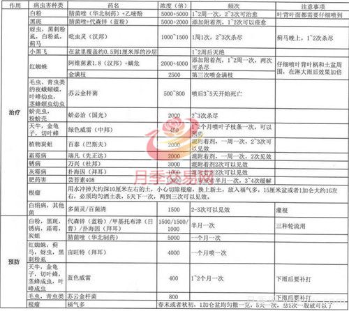 月季病蟲害種類及用藥總結(jié)，就看這張表(圖2)