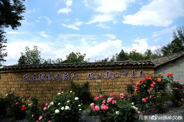 月季與美麗鄉(xiāng)村：保山騰沖老寨子，花在我眼前盛開(圖3)