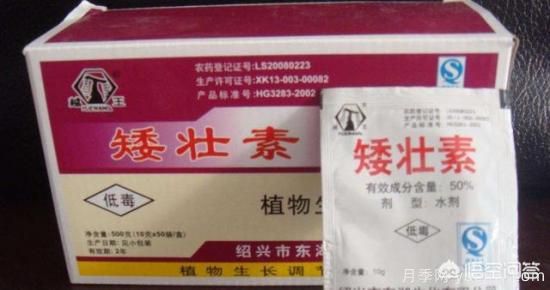 常見的花卉生長調(diào)節(jié)劑都有哪些？它們都起什么作用？(圖4)