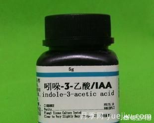 常見的花卉生長調(diào)節(jié)劑都有哪些？它們都起什么作用？(圖2)