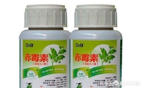 常見的花卉生長調(diào)節(jié)劑都有哪些？它們都起什么作用？(圖1)