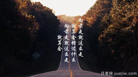 北方常見園林植物有哪些？(圖1)