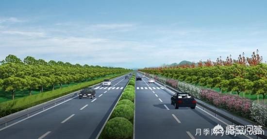 道路綠化苗木一般有哪些？(圖4)