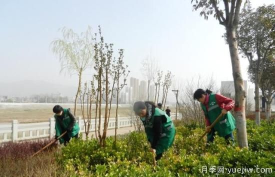 如何做園林的綠化養(yǎng)護(hù)工作？(圖6)