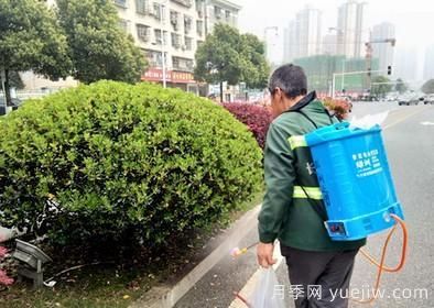 如何做園林的綠化養(yǎng)護(hù)工作？(圖7)