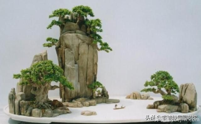 什么是山水盆景？山水盆景的形式有哪些？(圖2)