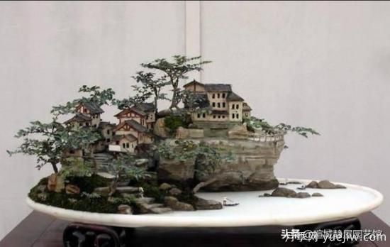 什么是山水盆景？山水盆景的形式有哪些？(圖1)