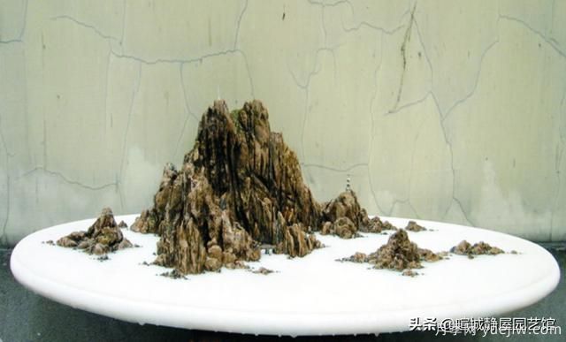 什么是山水盆景？山水盆景的形式有哪些？(圖3)