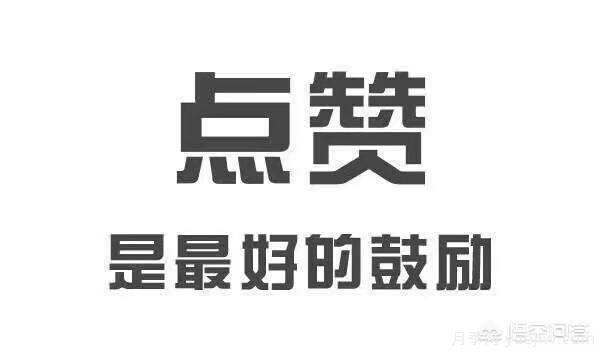 彩葉樹種哪些適合南方種植？表現(xiàn)要好些的！(圖3)
