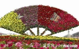 現(xiàn)在什么苗木種植前景好？(圖9)