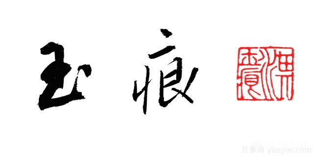 藤本月季的優(yōu)缺點是什么？有哪些？(圖4)