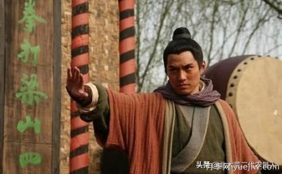 紅玉蘭與白玉蘭如何區(qū)分？(圖7)