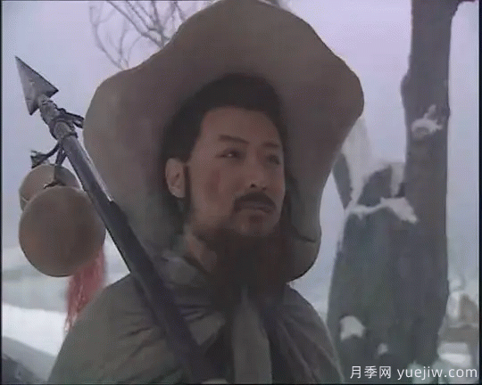 紅玉蘭與白玉蘭如何區(qū)分？(圖9)