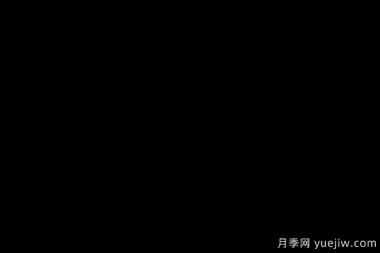 花卉在園林中的應(yīng)用形式和特點是什么？(圖1)