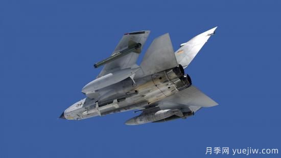 如何了解香檳玫瑰的種植？(圖2)