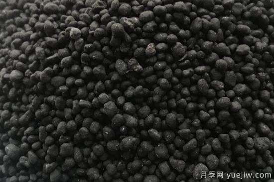 生物肥和有機肥有什么不同(圖1)