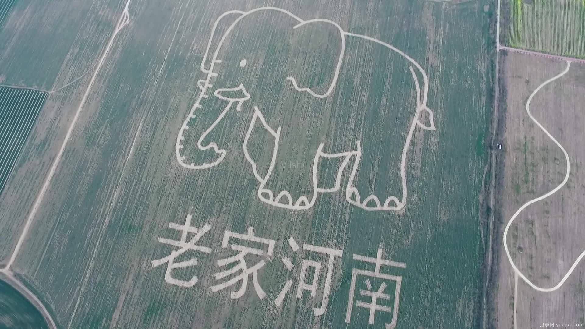 河南為什么被稱為“老家河南”？(圖1)