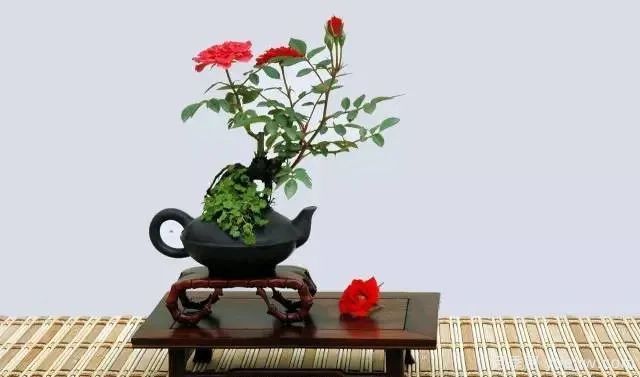 如何制作漂亮的月季盆景？藝術(shù)品來(lái)了(圖1)