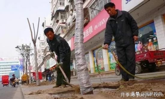 12月份園林養(yǎng)護如何做，才能給全年養(yǎng)護做個好結(jié)尾(圖1)