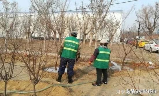 12月份園林養(yǎng)護如何做，才能給全年養(yǎng)護做個好結(jié)尾(圖3)