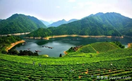 河南人口**大縣是誰？鄧州常住人口超124萬人，還是固始縣(圖2)