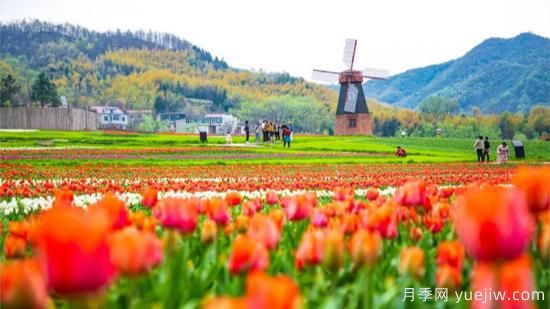 河南人口**大縣是誰？鄧州常住人口超124萬人，還是固始縣(圖1)