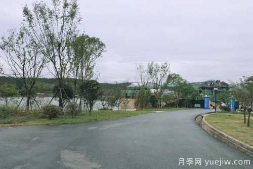 南陽(yáng)桐柏全力打造森林康養(yǎng)小鎮(zhèn)(圖1)