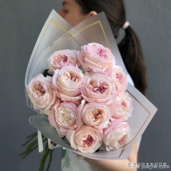35個(gè)奧斯汀官方推薦的月季品種，抗病強(qiáng)長(zhǎng)勢(shì)好開花多花友必選(圖10)