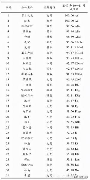 湖南湘中地區(qū)月季露地扦插試驗(圖4)