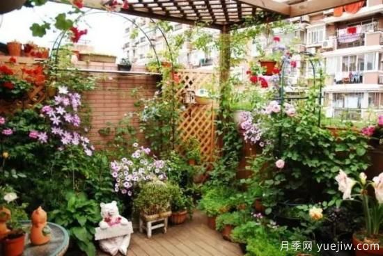 什么是園藝？就是用植物的生命影響人的生命！(圖1)