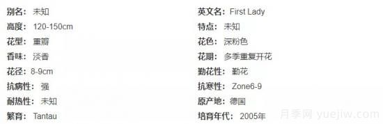 推薦高顏值且好養(yǎng)的10個藤本月季，看一眼就愛上(圖12)