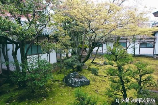 冬季植物應(yīng)該怎么打理，才能來年依舊繁花似錦(圖2)