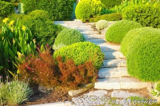 冬季植物應(yīng)該怎么打理，才能來年依舊繁花似錦(圖3)