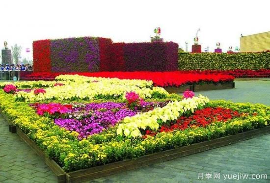城市園林中美麗的花壇是如何設(shè)計(jì)制作的？(圖2)
