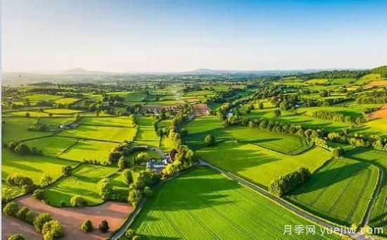 鄉(xiāng)村振興的10個新觀點，***后兩點很贊(圖1)