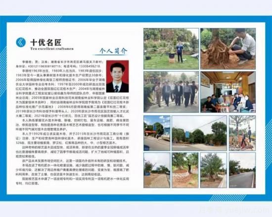 長沙雨花：穩(wěn)定年收入超200萬， 李德桂如何靠苗木致富的(圖1)