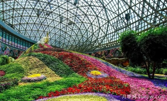 標(biāo)準(zhǔn)體系建設(shè)助力中國(guó)花卉產(chǎn)業(yè)提檔升級(jí)(圖1)