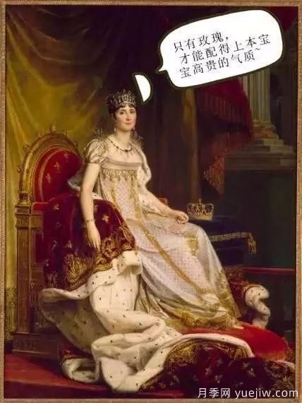 談?wù)勚袊?guó)月季的發(fā)展史，致敬中國(guó)的月季育種家前輩們！(圖5)
