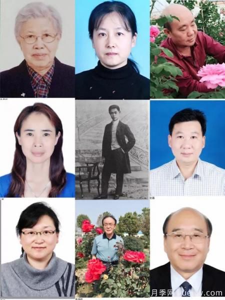 談?wù)勚袊?guó)月季的發(fā)展史，致敬中國(guó)的月季育種家前輩們！(圖12)