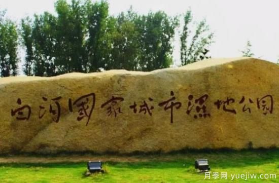 南陽白河濕地公園，晨暮讀覽春夏秋冬(圖1)