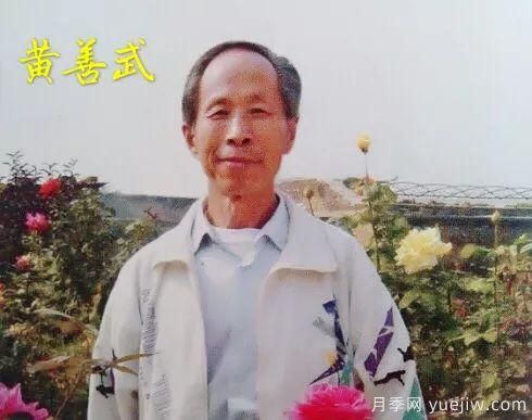 談?wù)勚袊?guó)月季的發(fā)展史，致敬中國(guó)的月季育種家前輩們！(圖16)