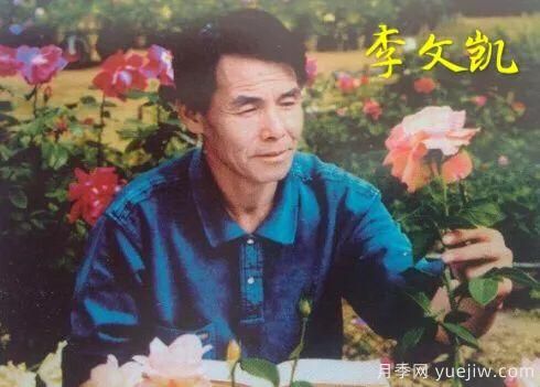 談?wù)勚袊?guó)月季的發(fā)展史，致敬中國(guó)的月季育種家前輩們！(圖18)